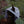 Load image into Gallery viewer, Snowboarder Flat Bill Hat - Mountain Mornings - Hat