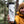Load image into Gallery viewer, Banff National Park Sticker - Mountain Mornings - Sticker