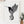 Load image into Gallery viewer, Hummingbird Print - Mountain Mornings - Prints