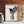 Load image into Gallery viewer, Hummingbird Print - Mountain Mornings - Prints