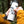 Load image into Gallery viewer, Jasper National Park Sticker - Mountain Mornings - Sticker