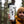 Load image into Gallery viewer, Kootenay National Park Sticker - Mountain Mornings - Sticker