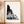 Load image into Gallery viewer, Yukon Print - Mountain Mornings - Prints