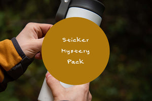 Mystery Pack of 5 Stickers
