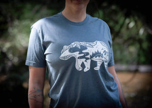 Roaming Bear, Unisex Tee