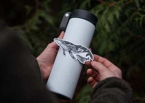 Person applying a Little Whale Sticker on a travel mug, showcasing the black and white vinyl design.
