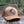 Moon and Climber Trucker Hat - Mountain Mornings - Hat