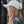 Moon and Climber Trucker Hat worn by a woman outdoors, showcasing style for adventures.