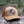Moon and Climber, Trucker Hat on a log in the forest, showcasing a durable design by a Canadian artist.