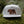 Roaming Bear Flat Bill Hat - Mountain Mornings - Hat