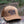 Roaming Bear Trucker Hat - Mountain Mornings - Hat