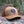 Sea to Sky Trucker Hat on a log in a forest, designed in Canada by a Canadian artist for outdoor adventures.
