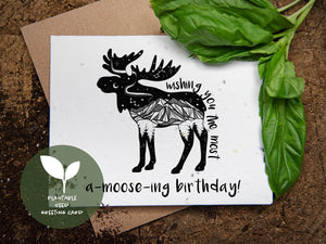 A-moose-ing Birthday, Plantable Seed Greeting Card - Mountain Mornings - Plantable Greeting Cards