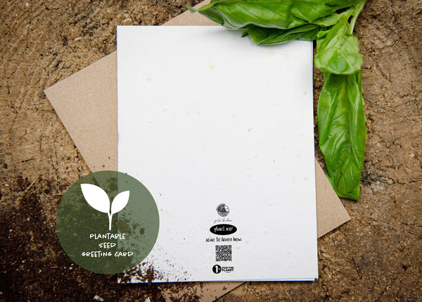 Back side of a plantable seed greeting card with a Mountain Mornings logo, QR code how to plant the card and logo of 1% for the Planet. 