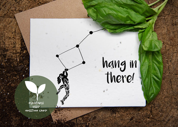Hang In There, Plantable Seed Greeting Card - Mountain Mornings - Plantable Greeting Cards