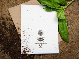 Happiest Birthday, Eh; Plantable Seed Greeting Card - Mountain Mornings - Plantable Greeting Cards