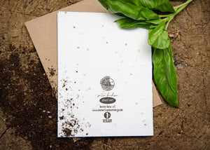 Happiest Birthday, Eh;  Plantable Seed Greeting Card with soil and basil leaves, eco-friendly and made in Canada.