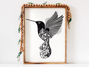 Hummingbird Print - Mountain Mornings - Prints