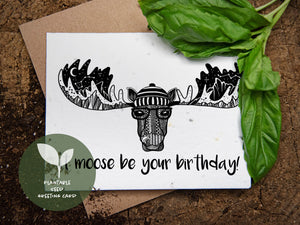 It Moose Be Your Birthday, Plantable Seed Greeting Card - Mountain Mornings - Plantable Greeting Cards