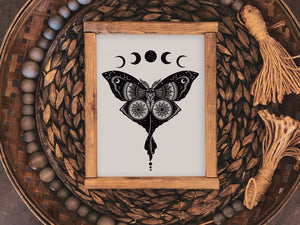 Luna Moth Print - Mountain Mornings - Prints