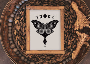 Luna Moth Print - Mountain Mornings - Prints