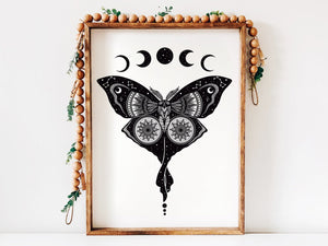 Luna Moth Print - Mountain Mornings - Prints