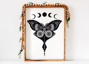 Luna Moth Print - Mountain Mornings - Prints