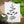 Merry Christmas, Plantable Seed Greeting Card featuring black and white illustration art and basil seeds.