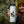 Northwest Territories Sticker on a travel mug held by a woman in a forest, showcasing a black and white outdoor sticker design.