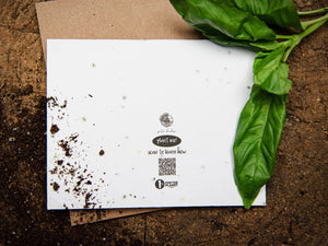 Partners in Climb, Plantable Seed Greeting Card - Mountain Mornings - Plantable Greeting Cards