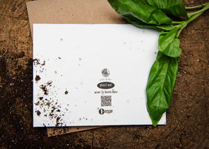 Welcome To The Pod, Little One; Plantable Seed Greeting Card with basil leaves on soil and compostable design.