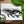 Welcome To The Pod, Little One; Plantable Seed Greeting Card featuring black and white whale illustration with basil seeds.