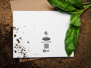 Seas The Day, Plantable Seed Greeting Card - Mountain Mornings - Plantable Greeting Cards