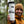 The Stawamus Chief Sticker displayed on a MICROLITE tumbler held by a smiling outdoorsman in a forest.