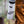 Three Sisters Mountain Sticker on a white water bottle held by a person wearing brown pants, outdoors.