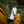 Person applying a Vancouver Island Sticker on a travel mug in a forest, showcasing outdoor sticker and Canadian art.